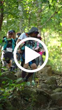 BIB:  <button type="button" onclick="openModal(27639790)" class="btn btn-primary btn-sm float-right" data-toggle="modal" data-target=".modal-high-quality">
                <i class="fa fa-download"></i> Download
                </button>